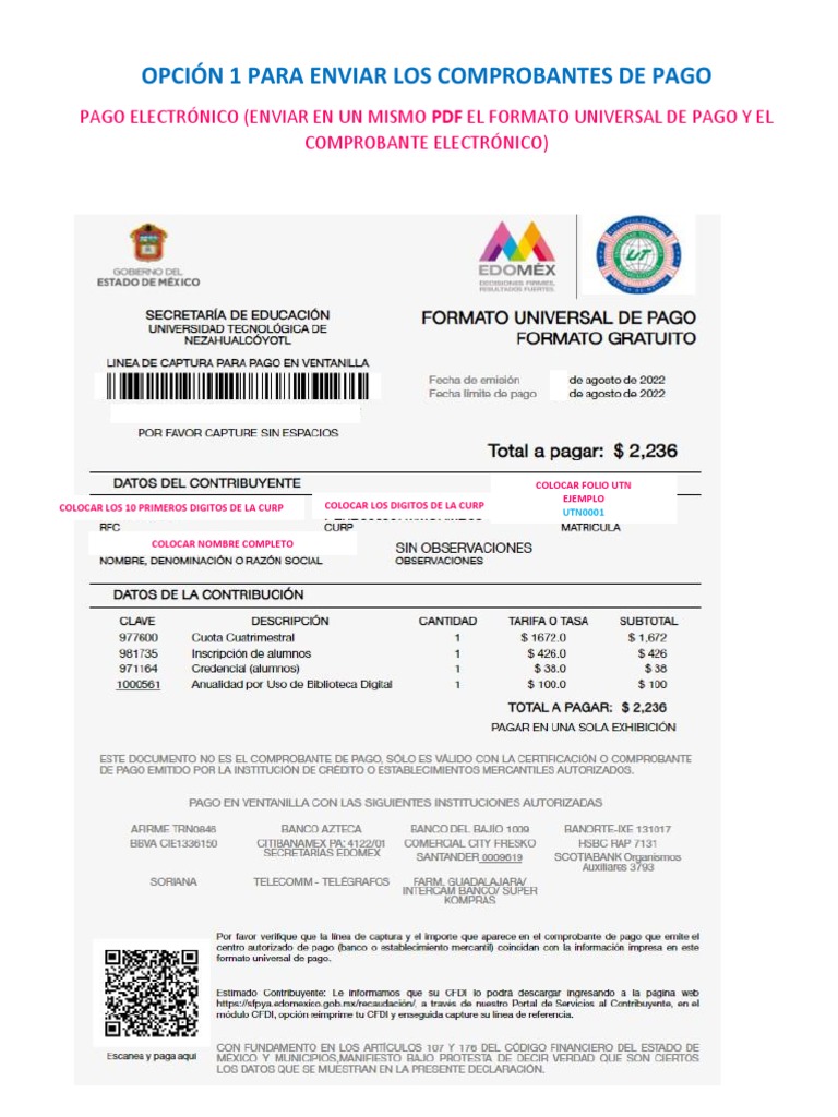 Instrucciones para Enviar Comprobantes de Pago | PDF