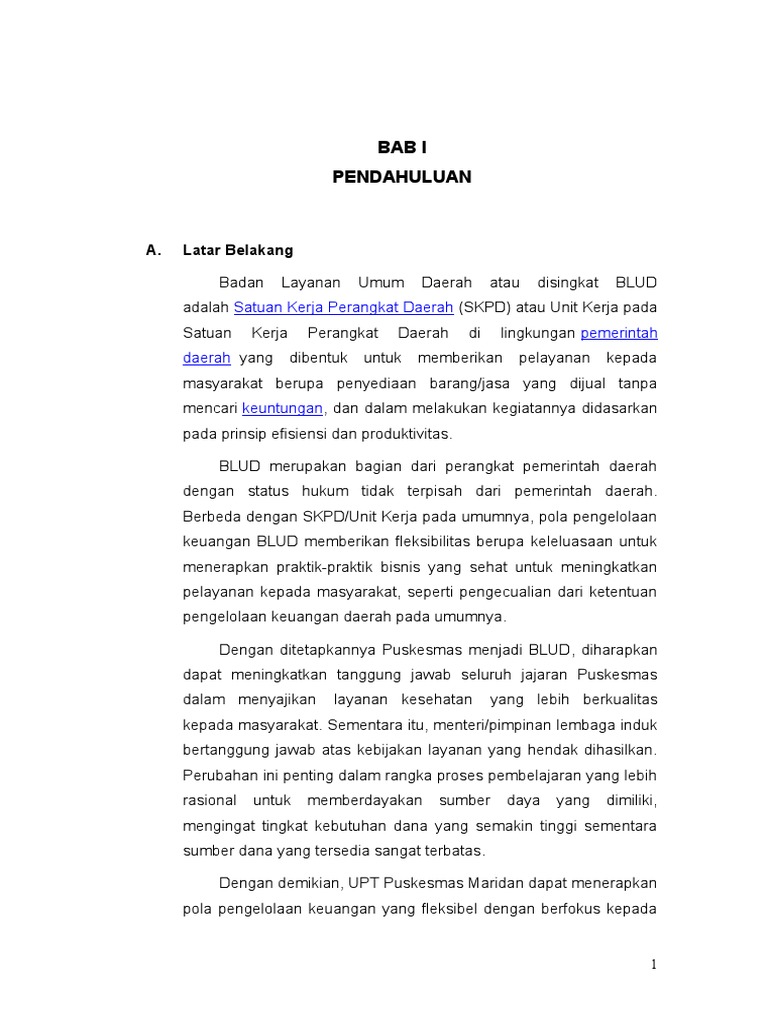Tata Kelola BLUD Puskesmas Maridan | PDF