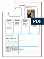 Ficha para Que Elaboren Su Ficha Técnica