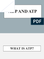 Atp-Adp Cycle
