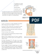 Anatomía Abdomen Gray Part2