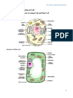 083 41 Final Biologi T4 DLP-30-60