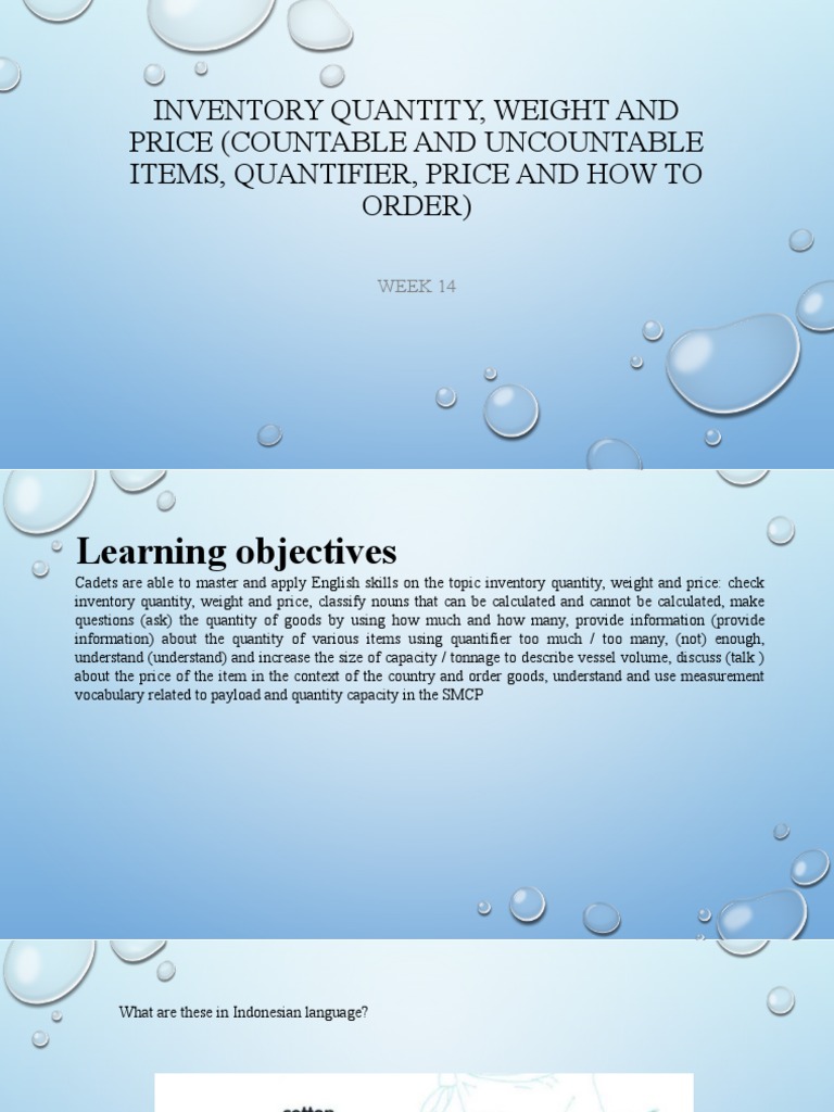 Inventory Management: Quantity & Pricing | PDF