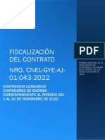 Informe de Fiscalizacion Periodo Noviembre