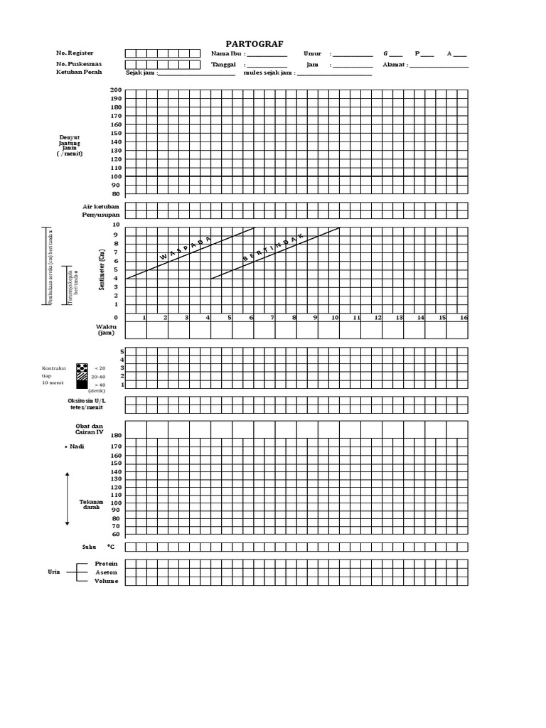 Format Partograf Persalinan 2024 | PDF