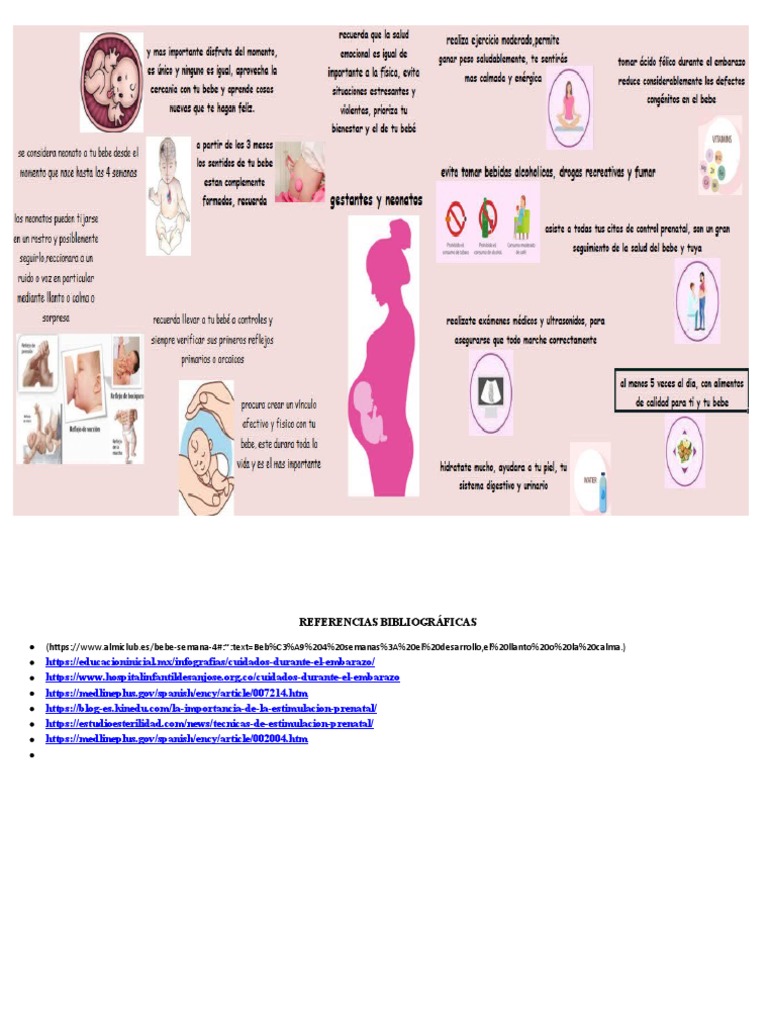Infografia Desarrollo Neonatal y Gestantes | PDF