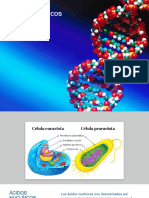 Acidos Nucleicos Nutrición Parte 1 2022