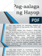 Pag-Aalaga NG Hayop