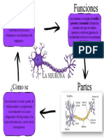 Infografia 03