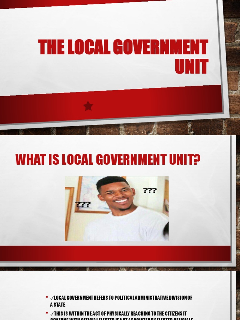 The Role and Responsibilities of Local Government Units An Overview of Their Functions in