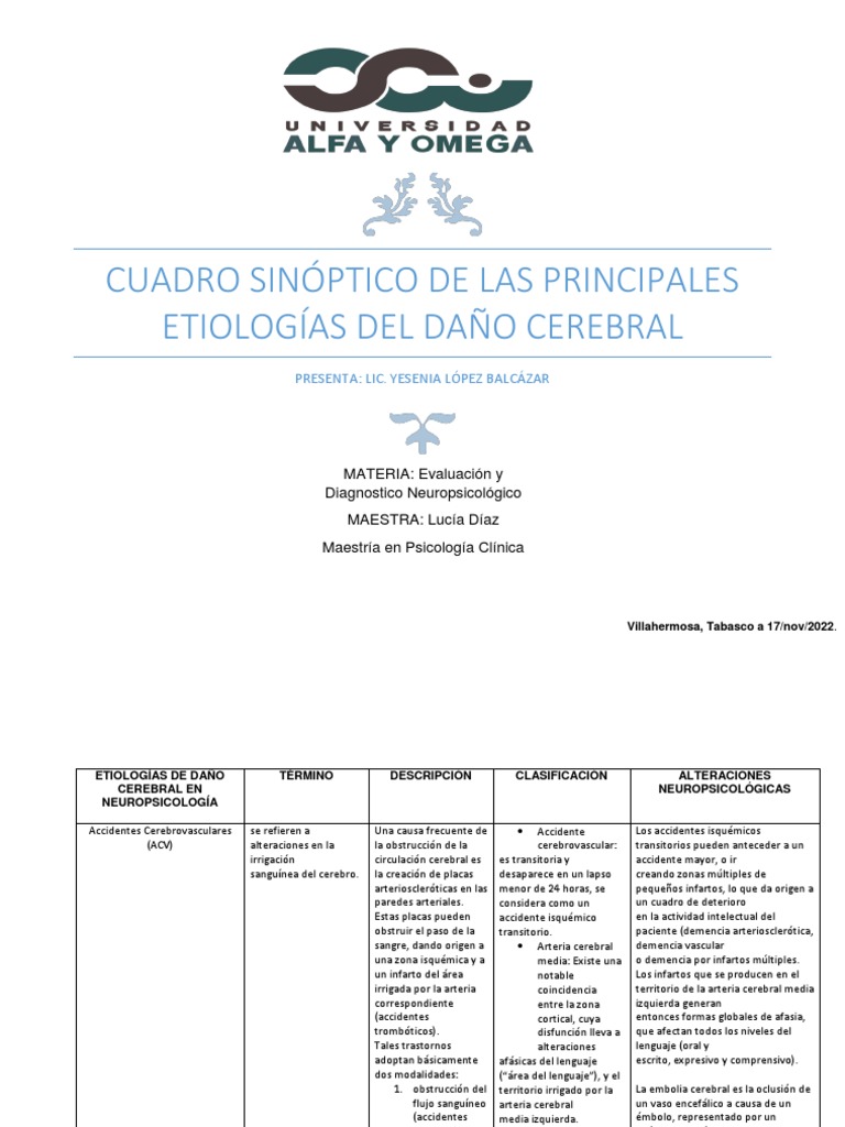 etiolog-as-del-da-o-cerebral-en-neuropsicolog-a-pdf-carrera