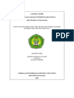 Optimized SMPN 17 PLP Report Title