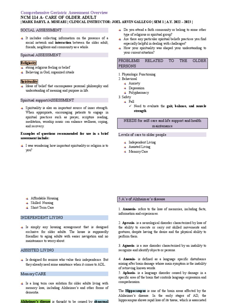 Geriatric Assessment and Care Strategies | PDF | Nursing | Alzheimer's ...