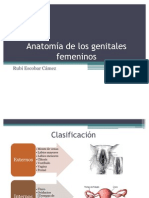 Anatomía de Los Genitales Femeninos