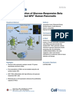 Efficient Generation of Glucose-Responsive Beta Cells From Isolated GP2+ Human Pancreatic Progenitors