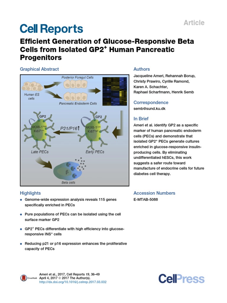 Curated visual reference: Fresh Look at Efficient Generation Of Glucose Responsive Beta Cells From Isolated Gp2