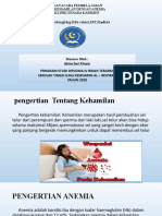 Anemia Kehamilan di Klinik Husada Karimun