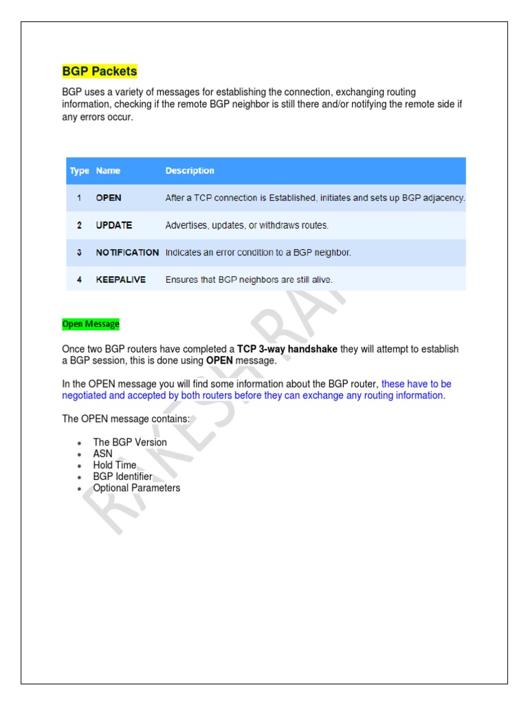 BGP Packets 1671772665 PDF Router Architecture