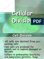Cell Division Final Lecture