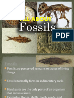 Fossil Notes UPDATEDa-1