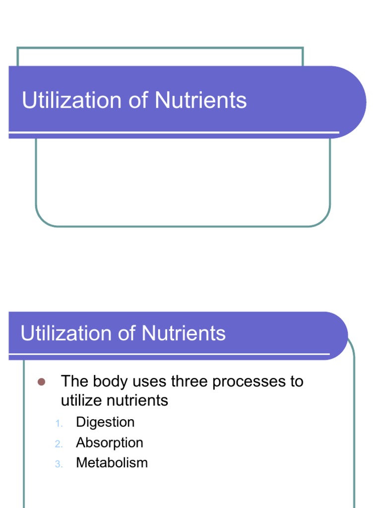Nutrient Utilization Process | PDF | Food Energy | Digestion
