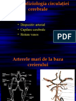 BVC_Curs1Final