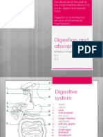 6.1. D.2. - PRES - Digestion and Absorption