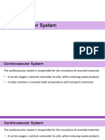 6.2 The Blood System