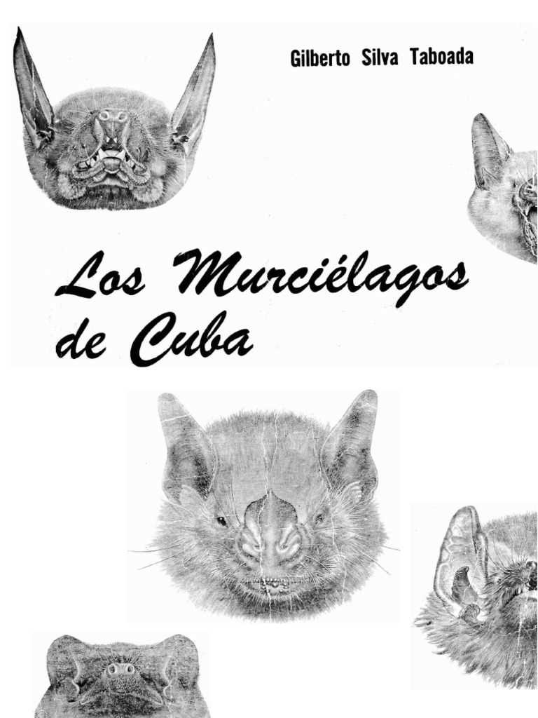 Los Murcielagos de Cuba | PDF | Cuba | Murciélago