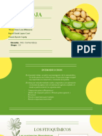 Trabajo de Investigacion de Soja