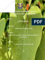 P7 Cuantificación de Enfermedades en Plantas