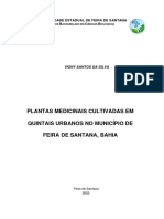 TCC Vigny - Dez 2022 - Versão para A Banca