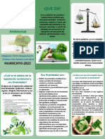 Legislación Ambiental Triptico