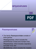 Paramyxoviruses Engl Brief