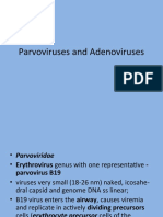 Parvoviruses and Adenoviruses