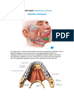 Glândulas Salivares - Resuminho