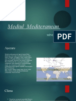Mediul Mediteranean