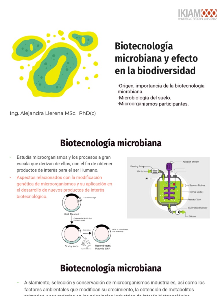Biotecnología Microbiana y Su Suelo | PDF | Suelo | Las bacterias