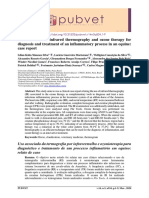 Associated Use of Infrared Thermography and Ozone Therapy