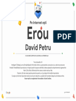 Google Interland David Petru Certificat de Erou4