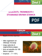 SK 4 Leukociti Trombociti I Stvaranje Krvnih Stanica