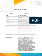 Anexo 2. Matriz Análisis de Caso