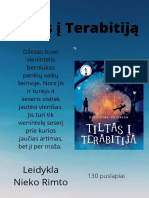 Tiltas Į Terabitiją