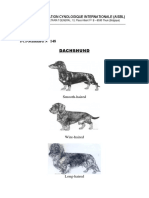 Federation Cynologique Internationale (Aisbl) : Dachshund