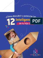 12 Inteligencias