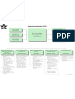 Iata Organization Chart