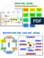 Procesos y Beneficios (SIGA)