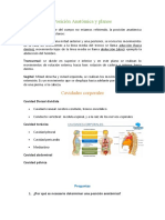 Posición Anatómica, Planos y Cavidades Corporales