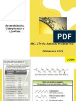 Beta Oxidacion y Cetogenesis