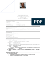 A. - Formato CV Práctica Laboral